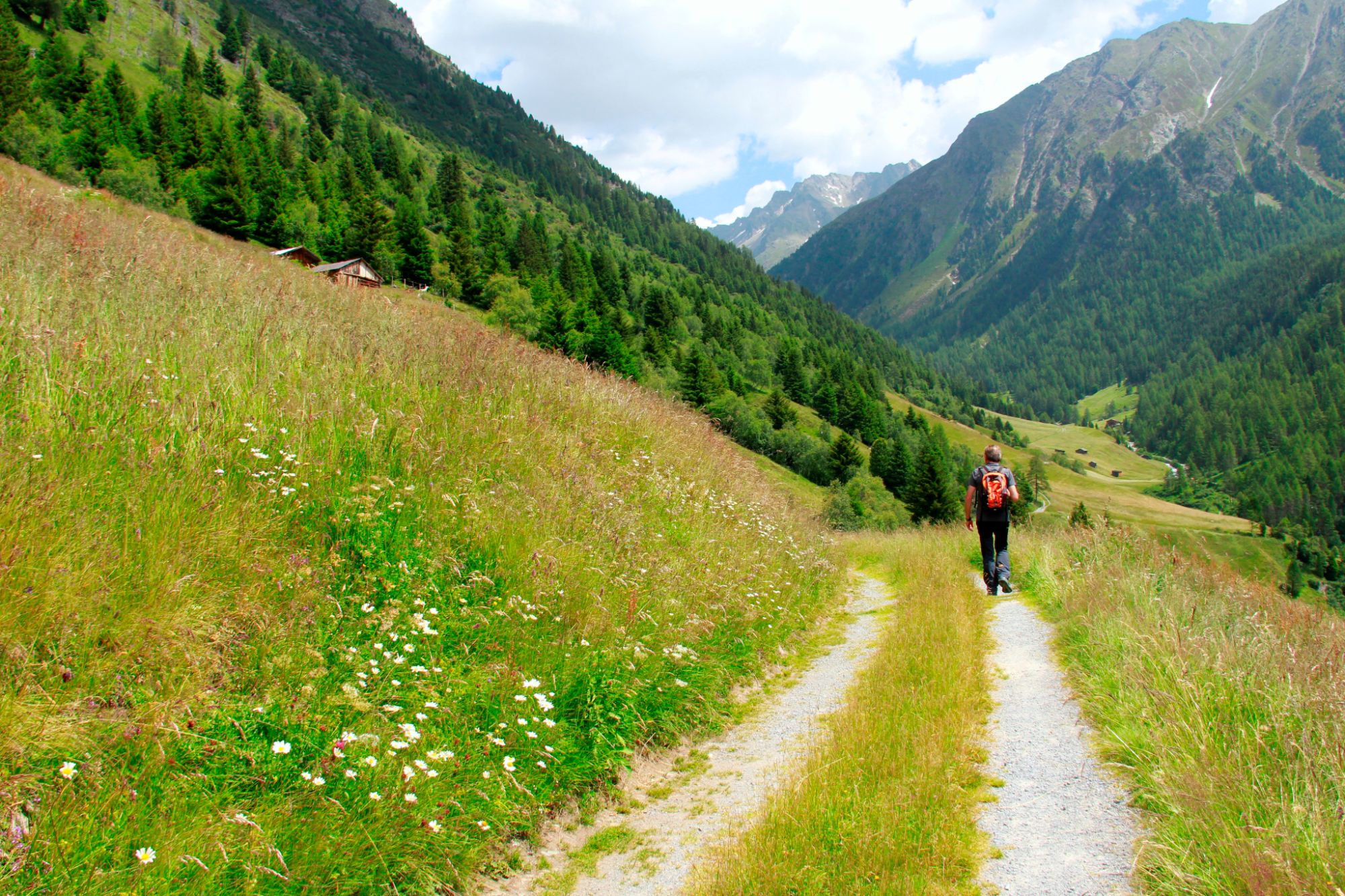 Favorite Places Niederthai Bergmahderweg Trail Otztal Oetztal Com