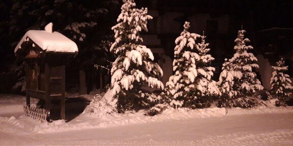 A snowy winter landscape with snow-covered trees. In the background, there is a small wooden shed. -  Abendliche Schneeschuhwanderung