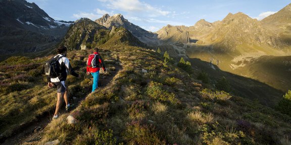 Innerbergalm - *Hüttentaxi Wurzbergalm, Stabelealm, Innerbergalm