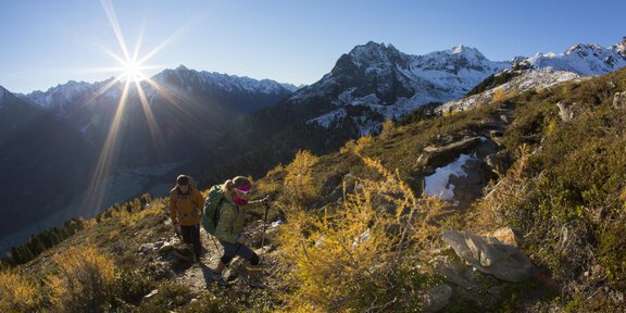 Wandern mit dem Hüttentaxi - *Hüttentaxi Wurzbergalm, Stabelealm, Innerbergalm