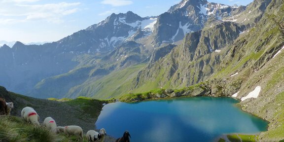Weisser See - *Hüttentaxi Wurzbergalm, Stabelealm, Innerbergalm