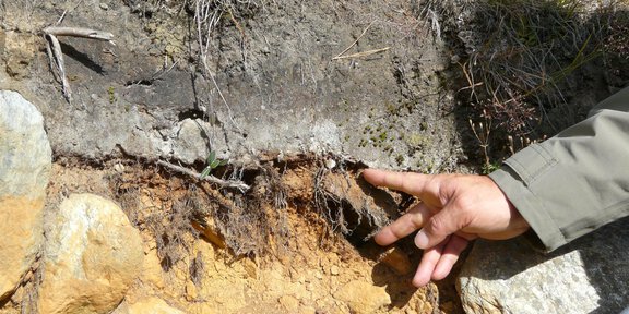 A hand points to the earth structure at a spot with roots and stones. The soil is visible in different layers. -  Arnika, Ötzi & Co – entdeckt die Natur rund um Vent | © Thomas Schmarda