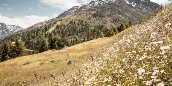 Marias7 - Maria's Alm - Sölden