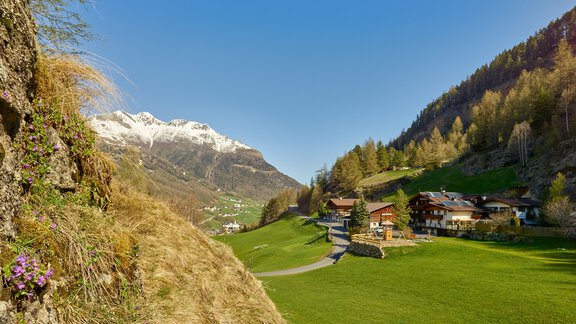 Moosalm Sommer - Ötztal