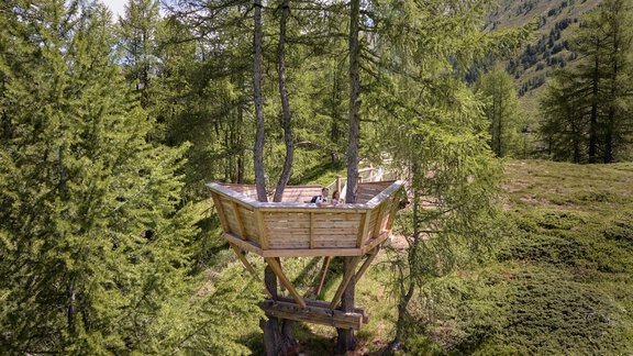 Entdeckerweg - 'Waldbaden am Ochsenkopf' - Ötztal Tourismus Information Gurgl