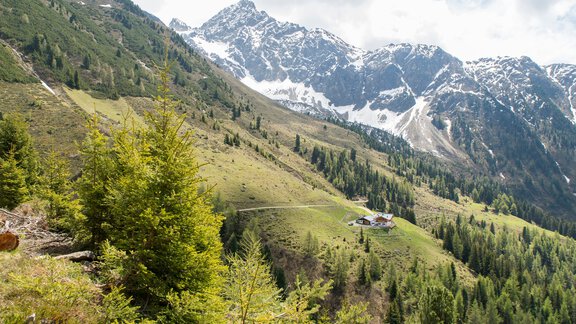 Blick zur Acherbergalm Hochoetz - Ötztal Tourismus Büro Oetz