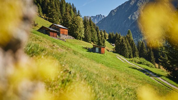 Bergmahderweg Sommer - Ötztal