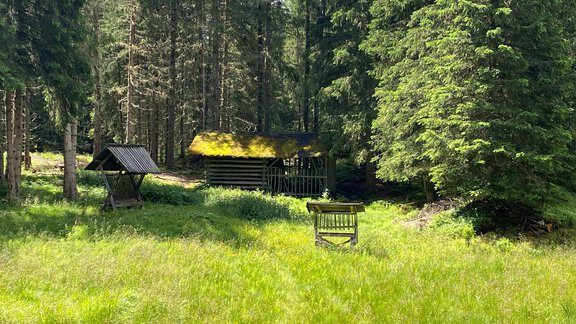 Feeding station Tauferbergrunde - Nicole Klotz