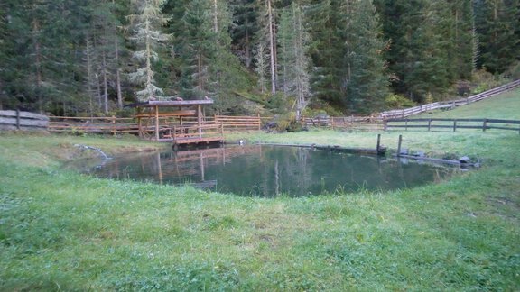 CIMG3400 - Hotel Schöpf - Gries