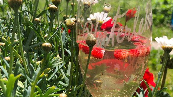 Beeren4 - Unterlehnerhof - Gries