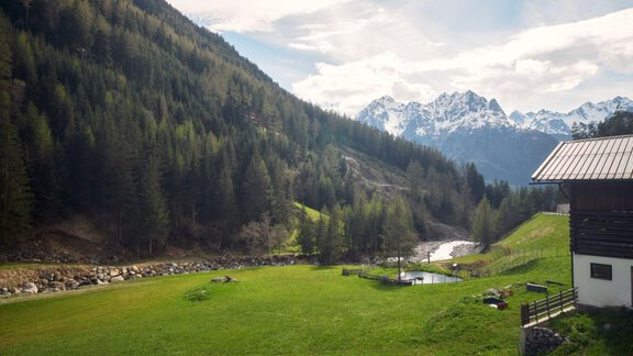 Blick zum Bach, Fischteich, Berge 1 jpg klein - Unterlehnerhof - Gries