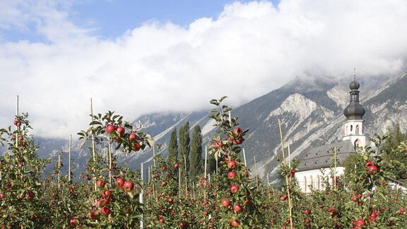 Haiming Kirche - Chalet Ida - Haiming