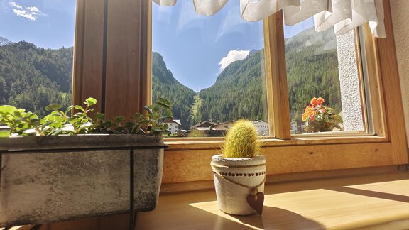 Fensteraussicht Sommer - Ferienwohnungen Stabentheiner - Huben