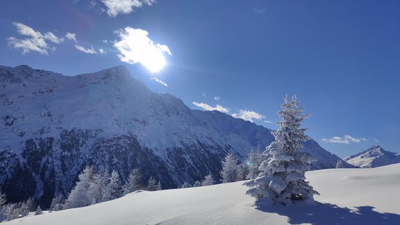 Winterlandschaft - Ferienwohnungen Stabentheiner - Huben