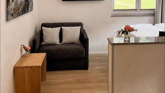 Ein modernes Wohnzimmer mit einem schwarzen Sofa, einem Fernseher und einem Holzbeistelltisch. Große Fenster sorgen für viel Licht und einen Blick ins Freie. - ONO Apartments - Huben