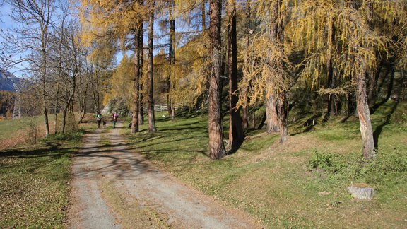 Apart Armin Oetztal Herbst - Längenfeld