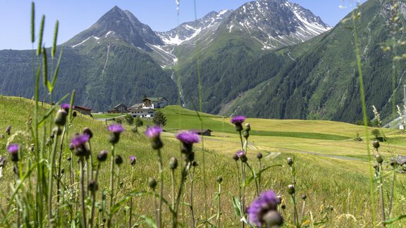 Burgstein Sommer - Apart Gipfelglück - Längenfeld