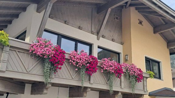 Apart Bild mit Blumen  - Apart im Tal - Längenfeld