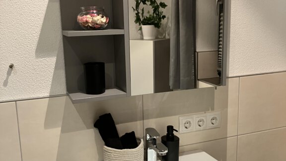 A modern bathroom with a sink and a wall mirror. Above the sink, there are shelves with decorations and plants. - Apart Katja - Längenfeld