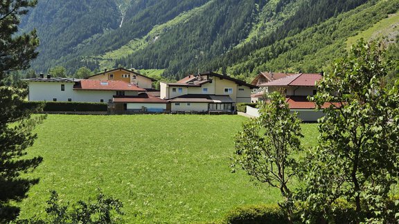 Eine malerische Landschaft mit grünen Wiesen und bunten Blumen im Vordergrund. Im Hintergrund sind Berge und ein klarer blauer Himmel sichtbar. - Apart Luca - Längenfeld