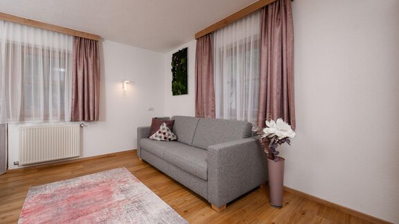 Ein gemütliches Wohnzimmer mit einem grauen Sofa und einem farbigen Teppich. Die Fenster sind mit Vorhängen bedeckt und eine Pflanze steht in der Ecke. - Appart Klotz Alpenglück - Längenfeld