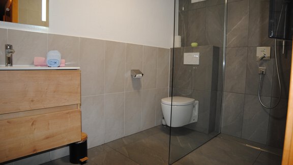 A modern bathroom with a glass shower enclosure and a wall-mounted toilet. The walls are designed with grey tiles and there is a wooden cabinet with a sink. - Appart Tanja - Längenfeld