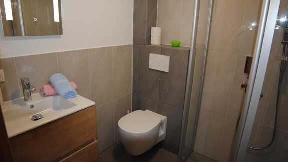 A modern bathroom with a shower, a sink, and a wooden cabinet. There are towels and a few decorative elements. - Appart Tanja - Längenfeld