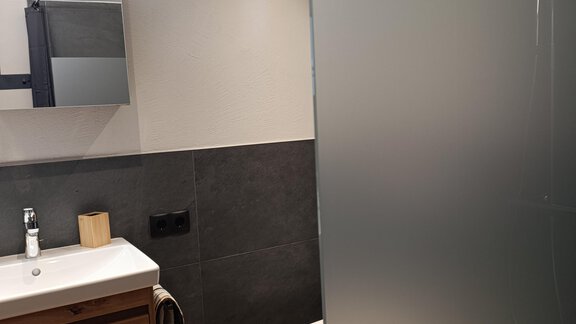 A modern bathroom with a frosted shower door. The floor is made of wood and there is a sink with a mirror. - Appartement Thermenzeit - Längenfeld