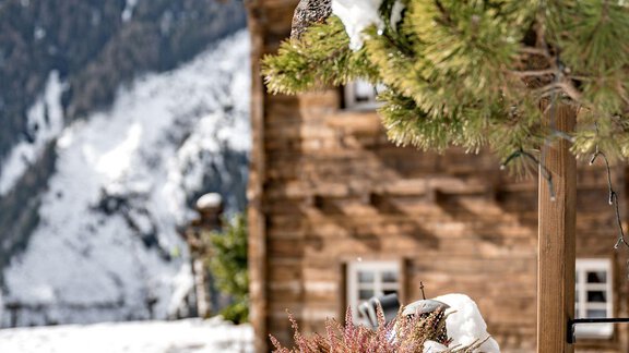 260223_132332_ergebnis - Chalet Heimatjuwel - Längenfeld