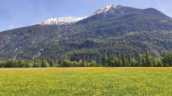 Frühling vor der Haustür - Ferienhaus Tami - Längenfeld