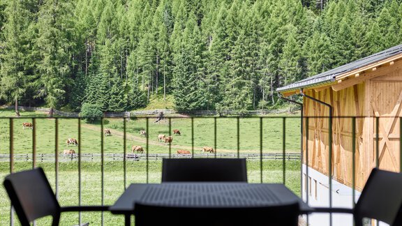 Ausblick vom Balkon - Hannesn Hof FamilyApart - Längenfeld