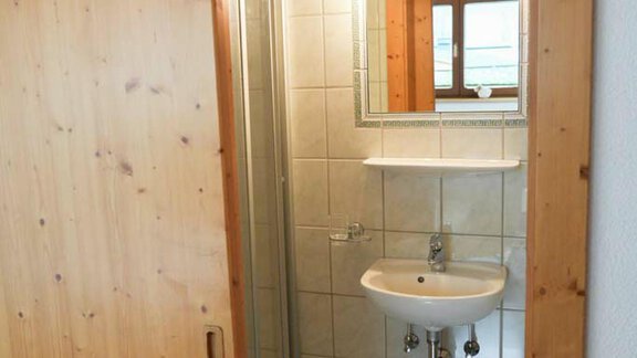 A modern bathroom with wooden paneling and a shower cubicle. A sink and a mirror are also available. - Hauertalerhof - Längenfeld