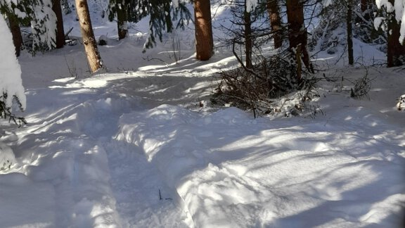 Langlaufen - Haus Fini - Längenfeld