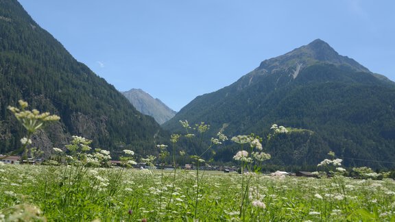 Gamskogel - Haus Wiesenblick - Längenfeld