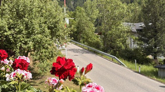 View of a street with colorful flowers in the foreground. In the background, green trees and a mountain stretch under a cloudy sky. - Irmas Ferienhäusl - Längenfeld