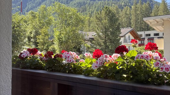 A beautiful view from the balcony with colorful flowers and mountains in the background. The sun shines on the green landscape. - Irmas Ferienhäusl - Längenfeld