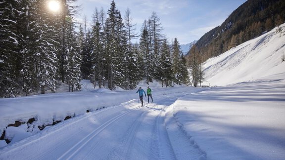 Two people cross-country skiing in a snowy landscape. Tall, green trees and a blue sky surround the wintry idyll. - Apart Alpenflair - Niederthai