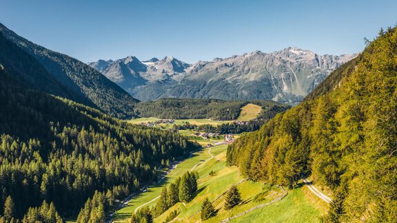 Eine malerische Berglandschaft mit grünen Wiesen und bewaldeten Hügeln. Im Hintergrund erheben sich majestätische Berge unter einem klaren blauen Himmel. - Apart Alpenflair - Niederthai