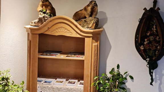 Ein hölzerner Regal mit Postkarten und zwei präparierten Tieren oben. Umgeben von grünen Pflanzen und einer dekorativen Wandgestaltung. - Apart Stefan - Niederthai