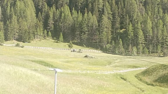 A vast meadow landscape with green fields and dense forests. In the background, some trees and a path can be seen. - Appartement Lea - Niederthai