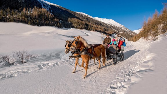 nied_kutschenfahrt_07_18a - Appartement Leiter Niki - Niederthai