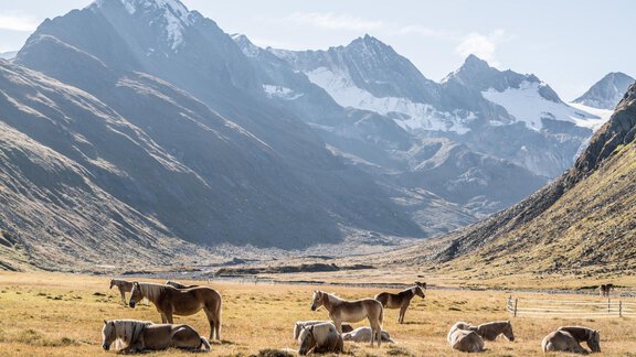 gurgl_stimmung_08_18 - Appartement Leiter Niki - Niederthai
