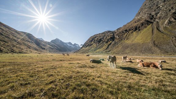 gurgl_stimmung_09_18 - Appartement Leiter Niki - Niederthai