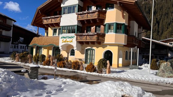 Winter Haus - Appartement Schmid - Niederthai