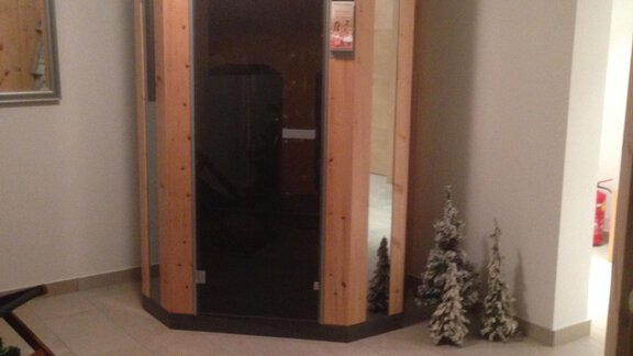 An elegant wellness area with a modern wooden sauna. The room is designed to be welcoming and inviting. - Delano Appartements - Niederthai