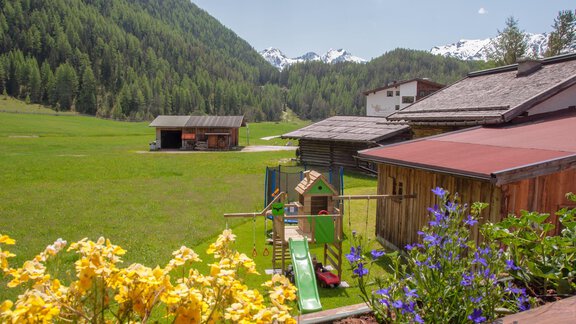 IMG_2138 - Haus Lärchenwald - Niederthai