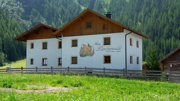 PDB-50970 - Haus Lärchenwald - Niederthai