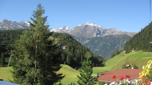 Blick auf das Bergpanorama - Landhaus Scheiber - Niederthai