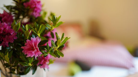 Eine schöne Blume mit pinken Blüten in einer Vase. Im Hintergrund ist ein gemütliches Schlafzimmer sichtbar. - Sonnenhof - Niederthai