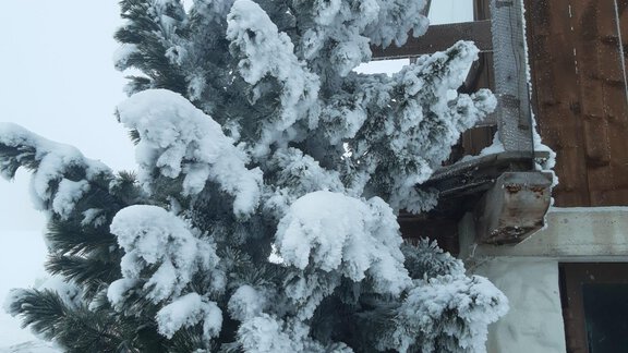 Winter in Niederthai - Tirolerhof - Niederthai